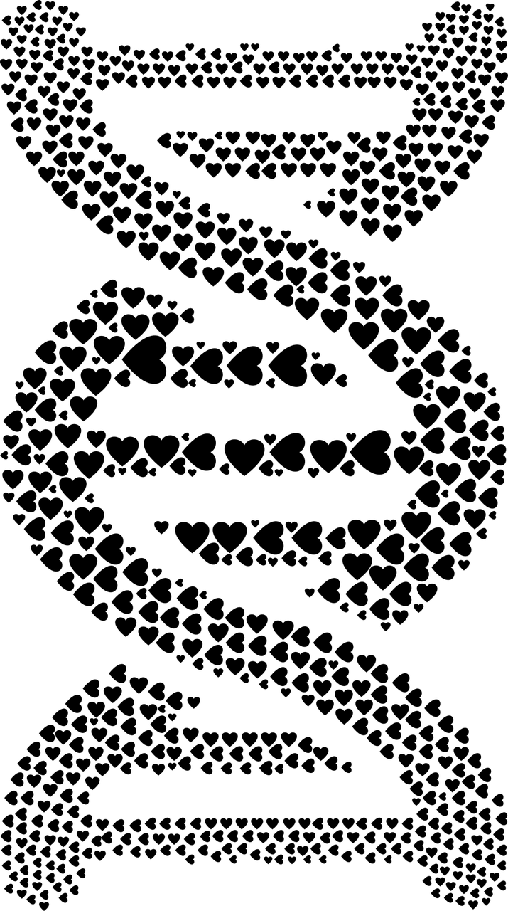 dna, deoxyribonucleic acid, heart-2753788.jpg